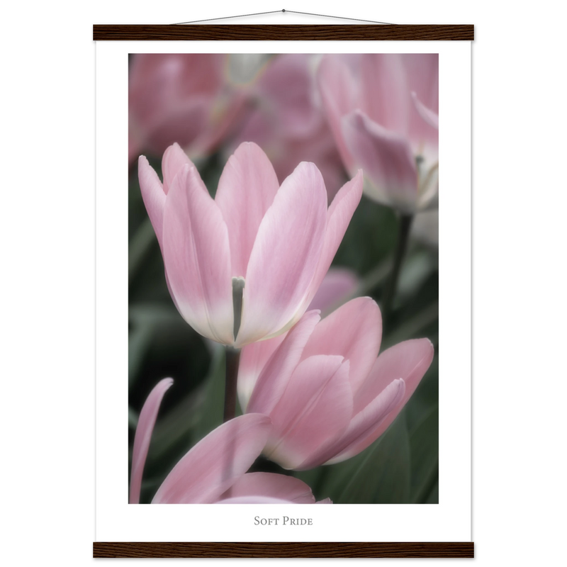 35301b73-49ea-4613-87a7-05260b09353b