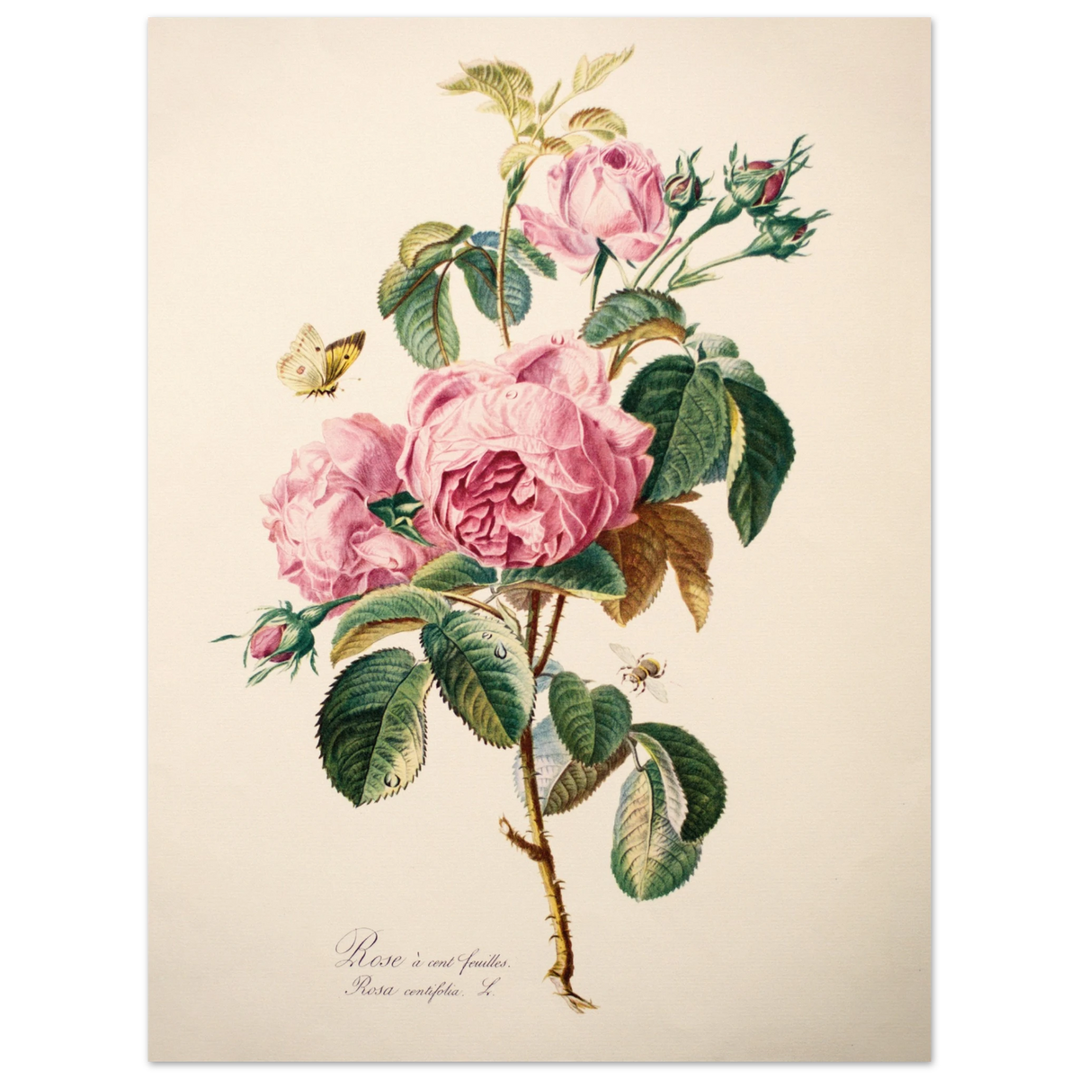 354d00b7-df08-4ca7-90bd-7eb73b6f50df