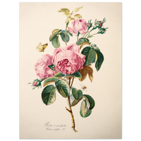 354d00b7-df08-4ca7-90bd-7eb73b6f50df