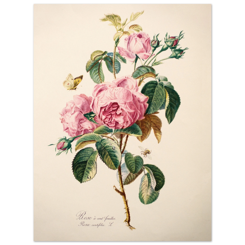 354d00b7-df08-4ca7-90bd-7eb73b6f50df