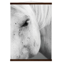 365ef317-0b87-4cbd-acf0-732ad7be9b58