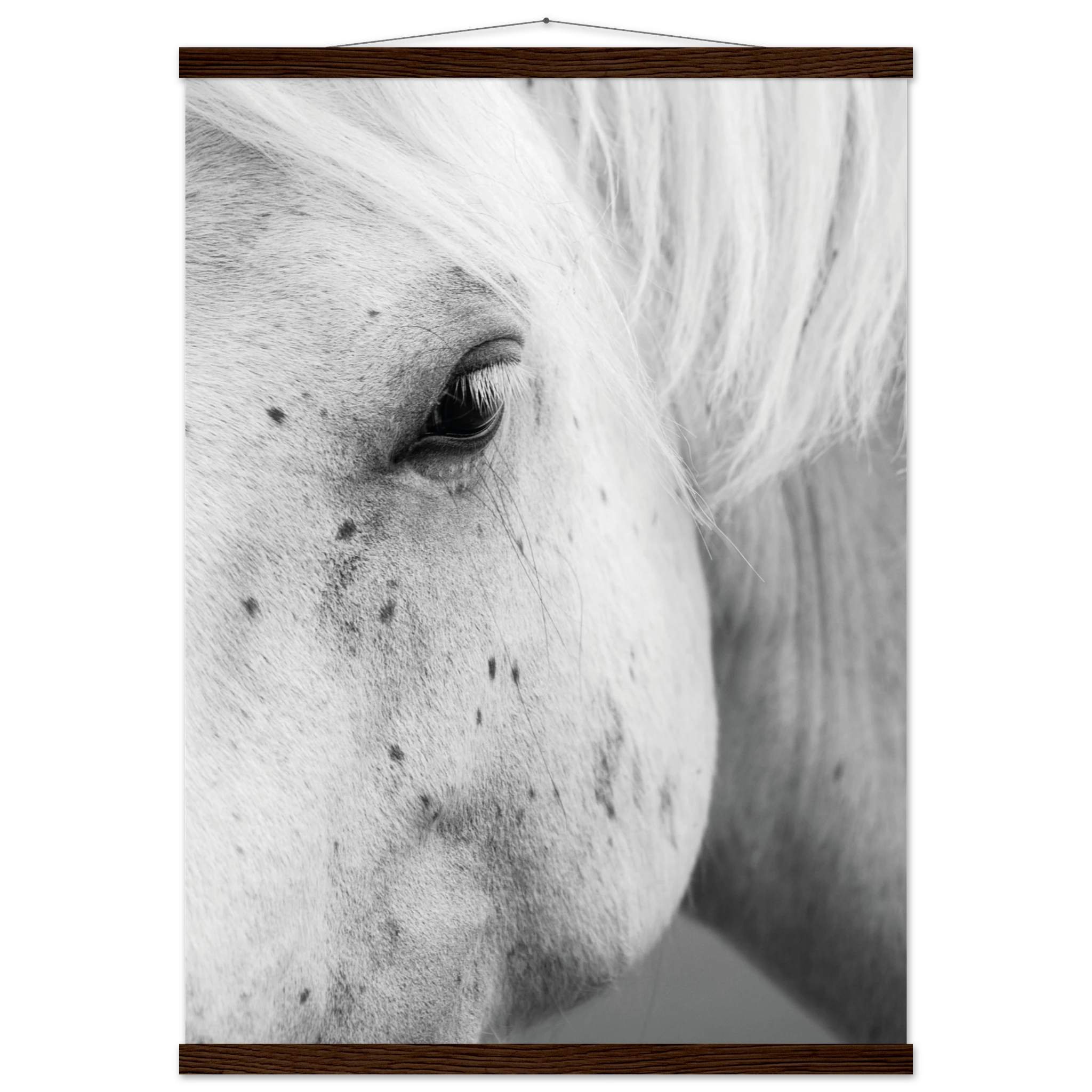 365ef317-0b87-4cbd-acf0-732ad7be9b58