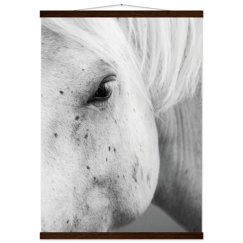 365ef317-0b87-4cbd-acf0-732ad7be9b58