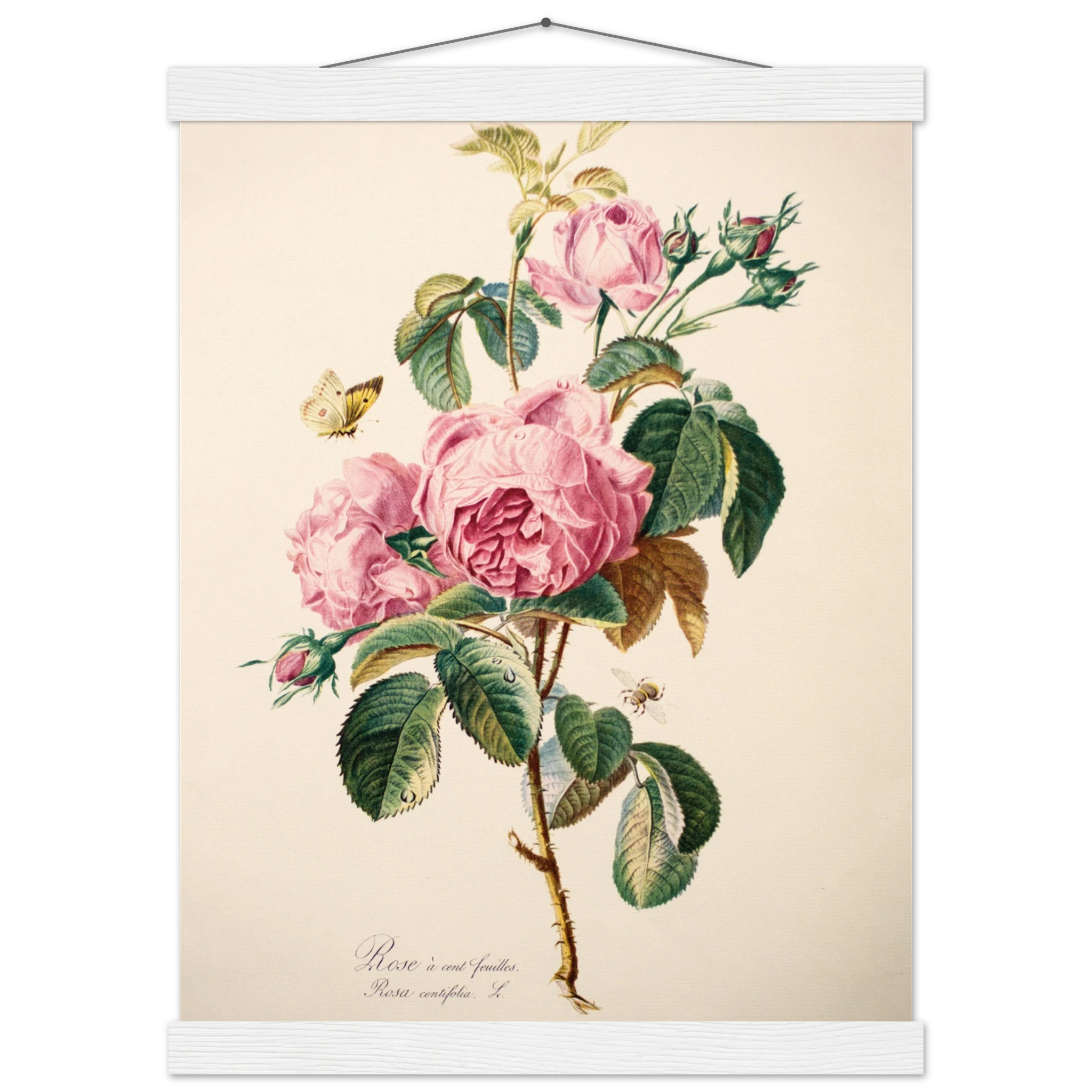 36fdfc2d-2cdd-4c1a-bc93-82c85e6fd1eb