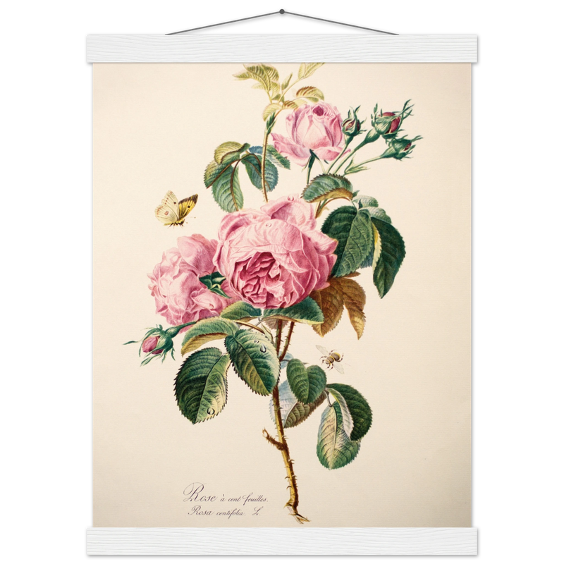 36fdfc2d-2cdd-4c1a-bc93-82c85e6fd1eb