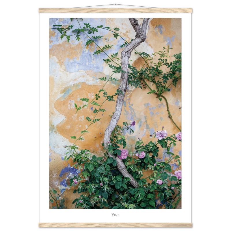 376fef41-cc7a-48fd-a325-9b676c124adc