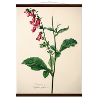 3782cddc-0196-4660-a2dd-2a7bf95f5f74