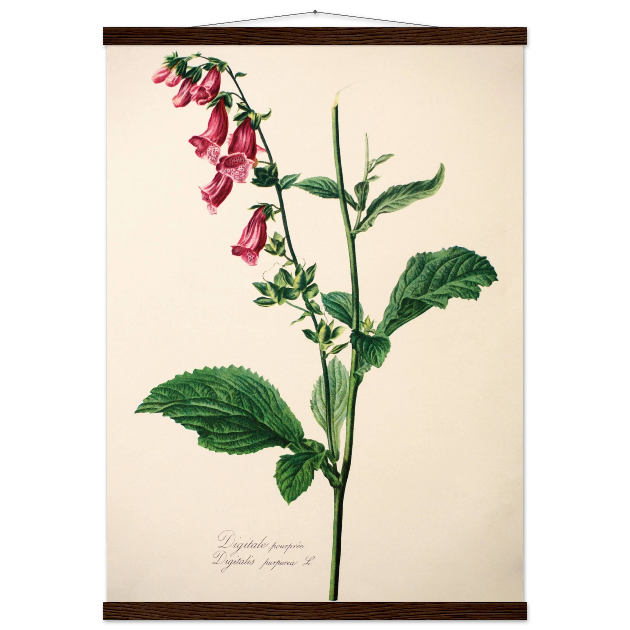 3782cddc-0196-4660-a2dd-2a7bf95f5f74