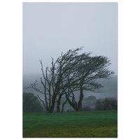 3954261e-1080-464a-a296-d1e0b952eb40