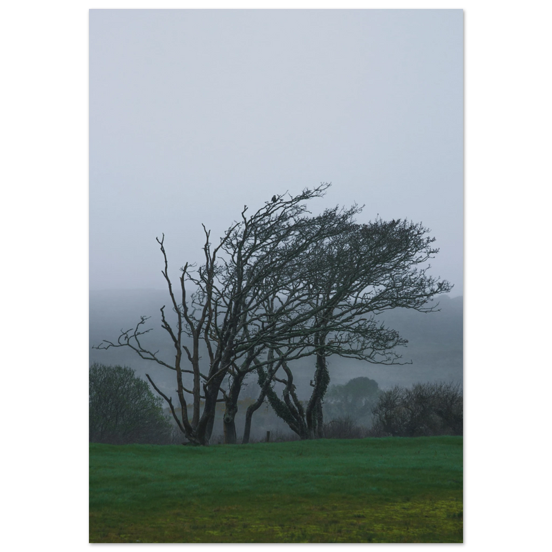 3954261e-1080-464a-a296-d1e0b952eb40