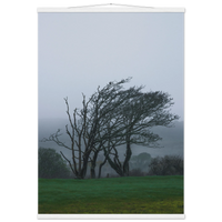 398a8863-a023-4b34-9ed3-20bd9a97b184