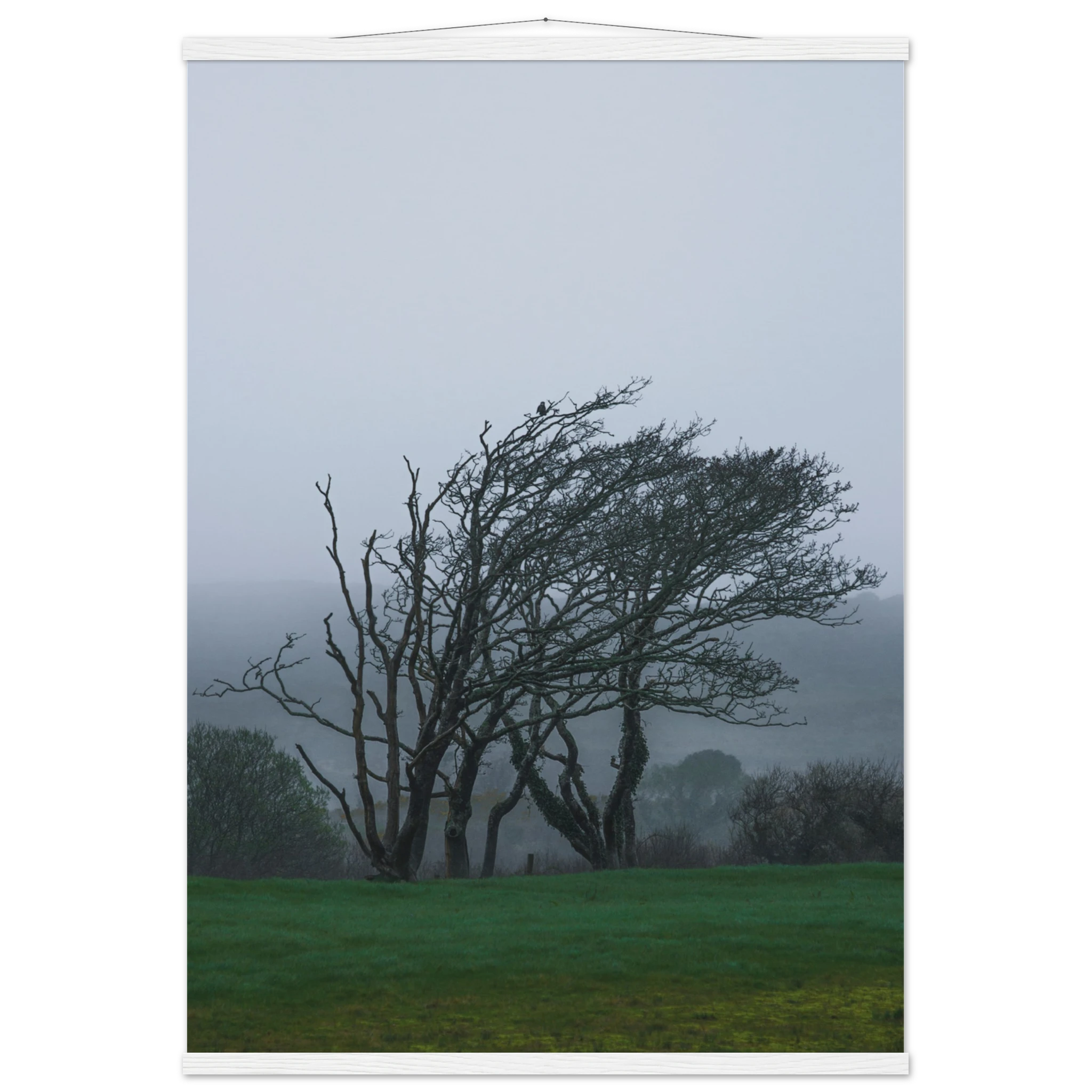 398a8863-a023-4b34-9ed3-20bd9a97b184