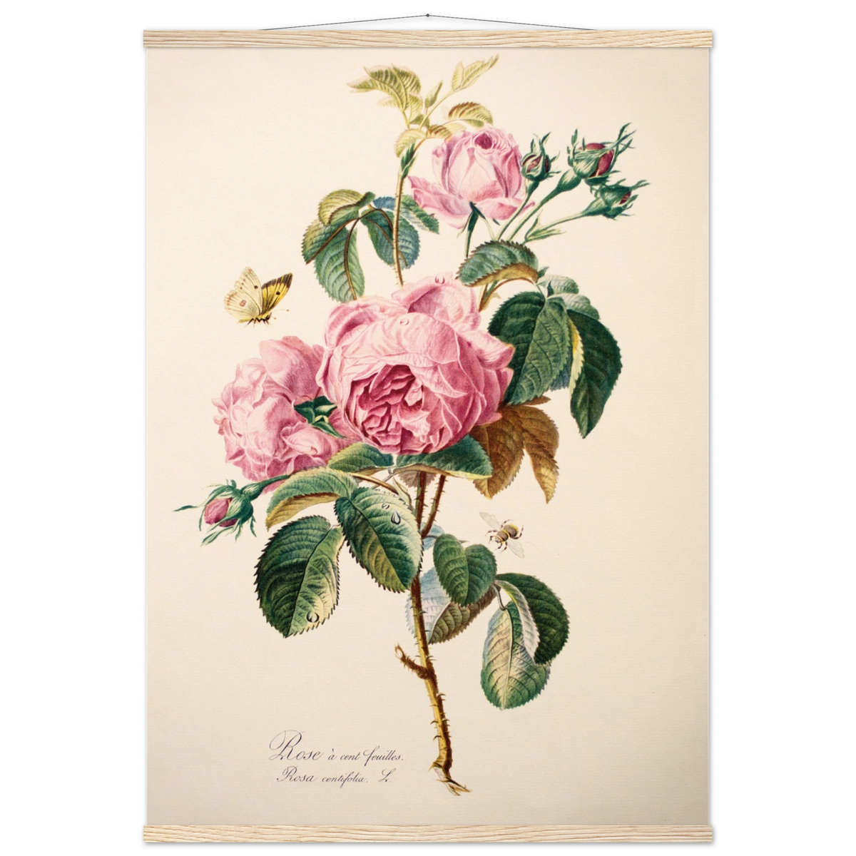 39c782bf-bded-4682-bc8f-6ef7d20e35d0