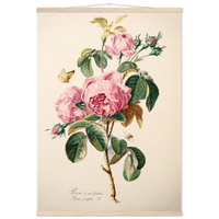 39c782bf-bded-4682-bc8f-6ef7d20e35d0