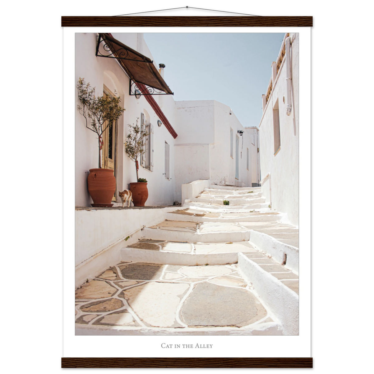 39f3cdcb-e44b-4e82-a83f-d92cc3e9038c