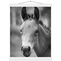 3ae6ab2e-c4b3-4bf0-bcaf-d7c52148646f