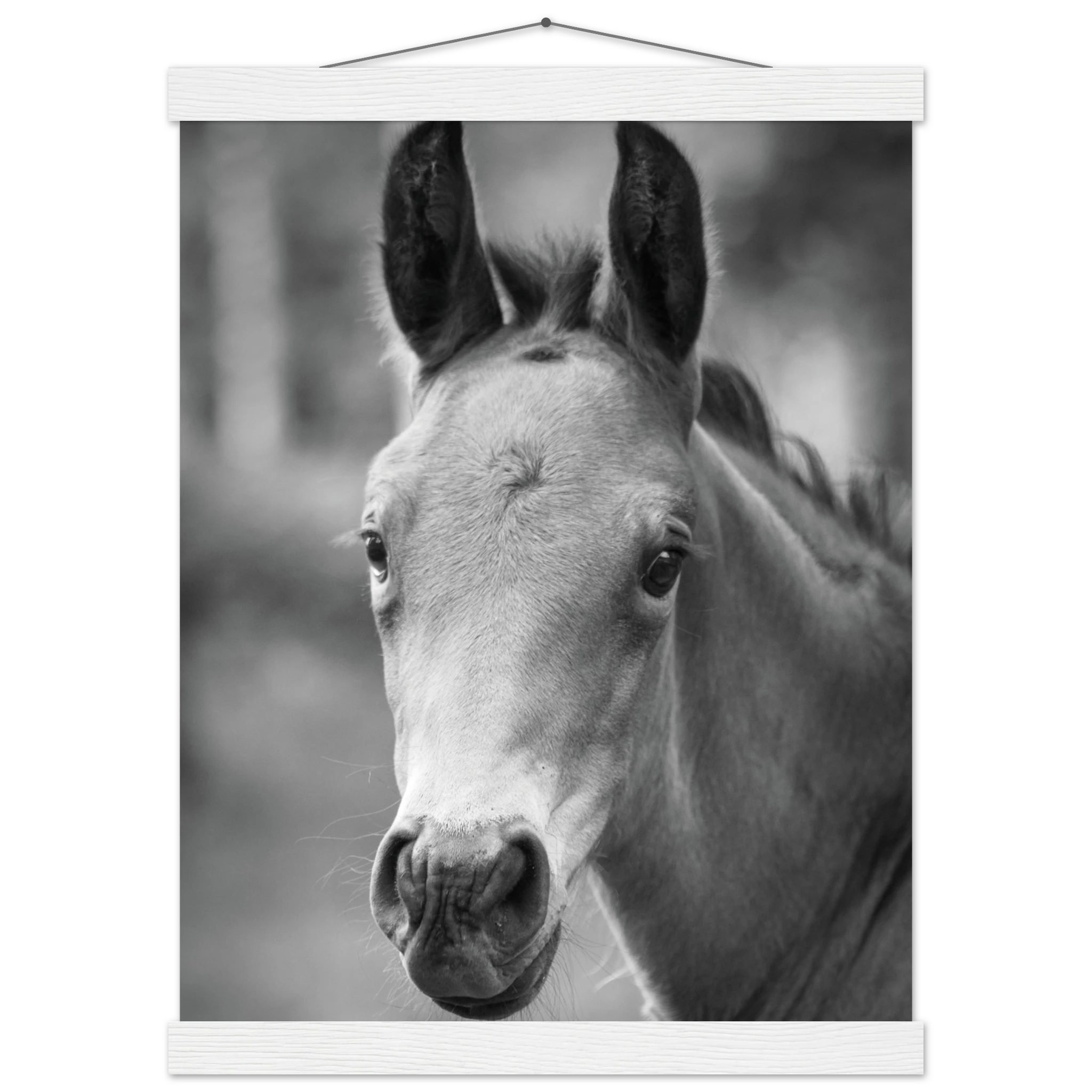 3ae6ab2e-c4b3-4bf0-bcaf-d7c52148646f