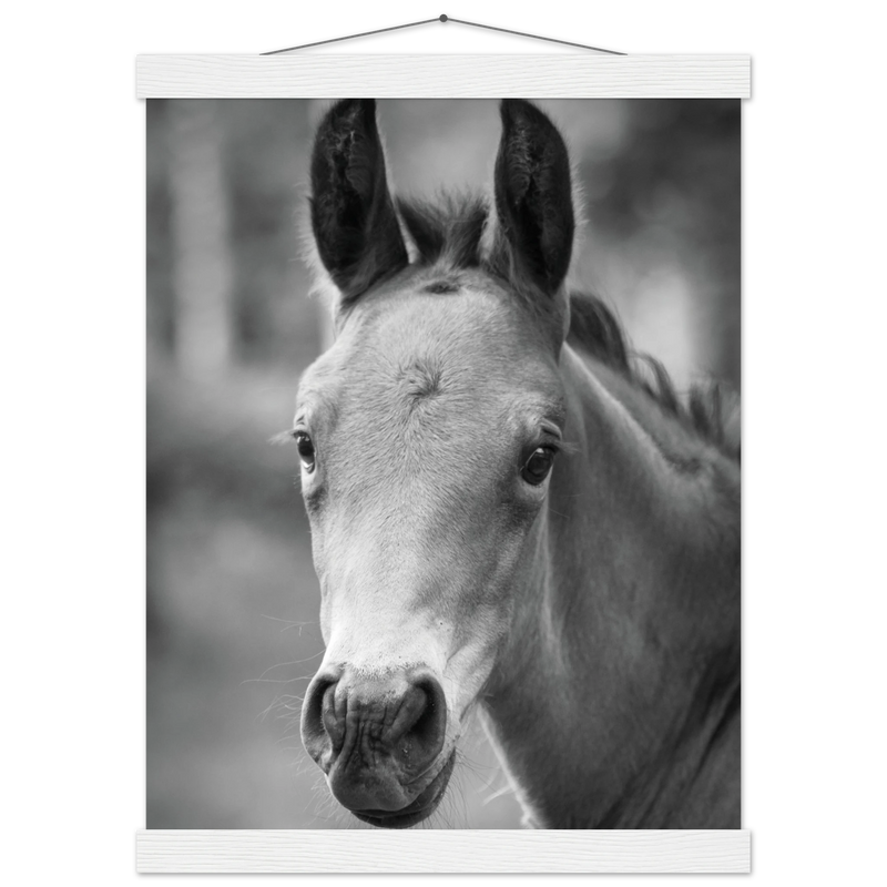 3ae6ab2e-c4b3-4bf0-bcaf-d7c52148646f