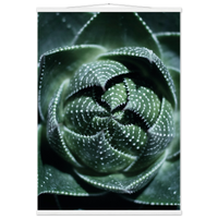 3be4ae67-7b71-4286-8041-1a76d4f3a5d9