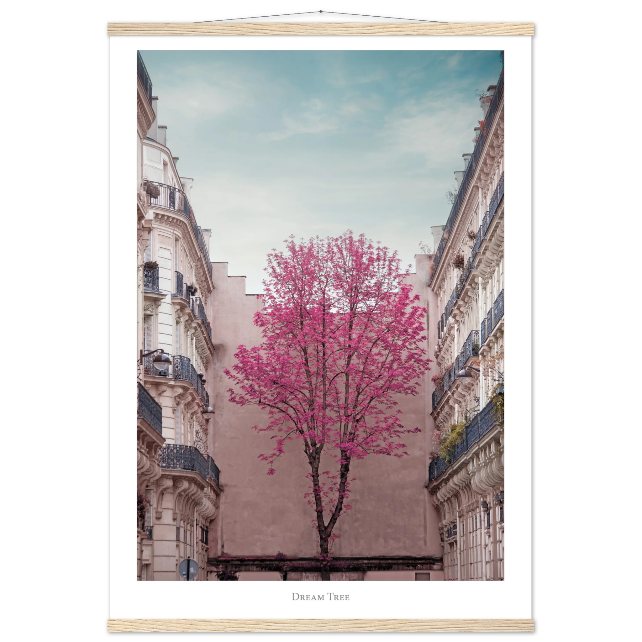 3c40b5c5-7b7f-4402-8ef2-81d6f82aae7a