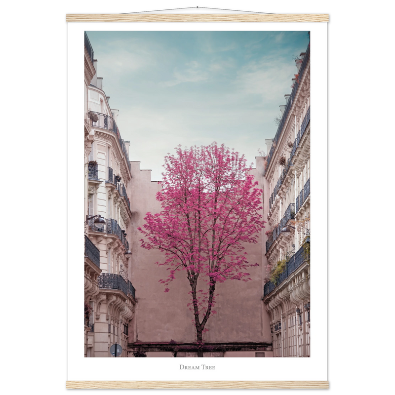 3c40b5c5-7b7f-4402-8ef2-81d6f82aae7a