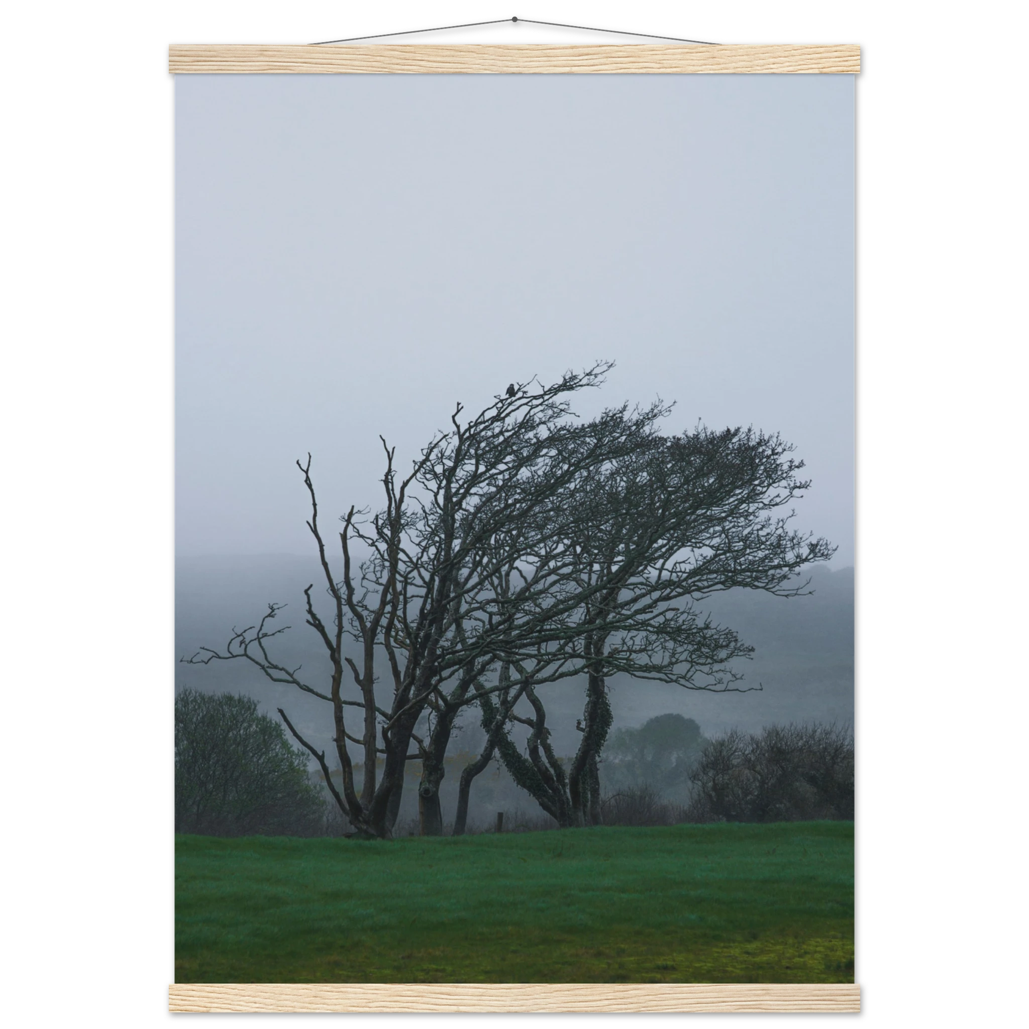 3e6339be-39bf-4c27-9b27-5914201c7b3e