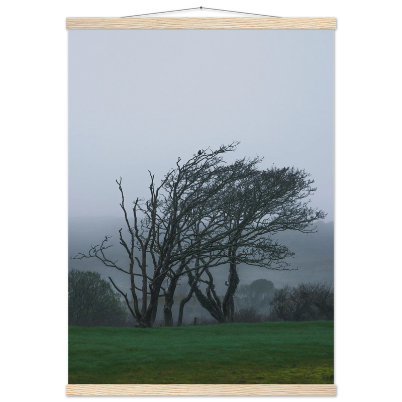 3e6339be-39bf-4c27-9b27-5914201c7b3e