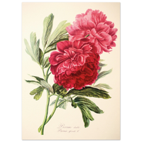 40605334-a321-4f7c-90ee-1ed9dfcba349