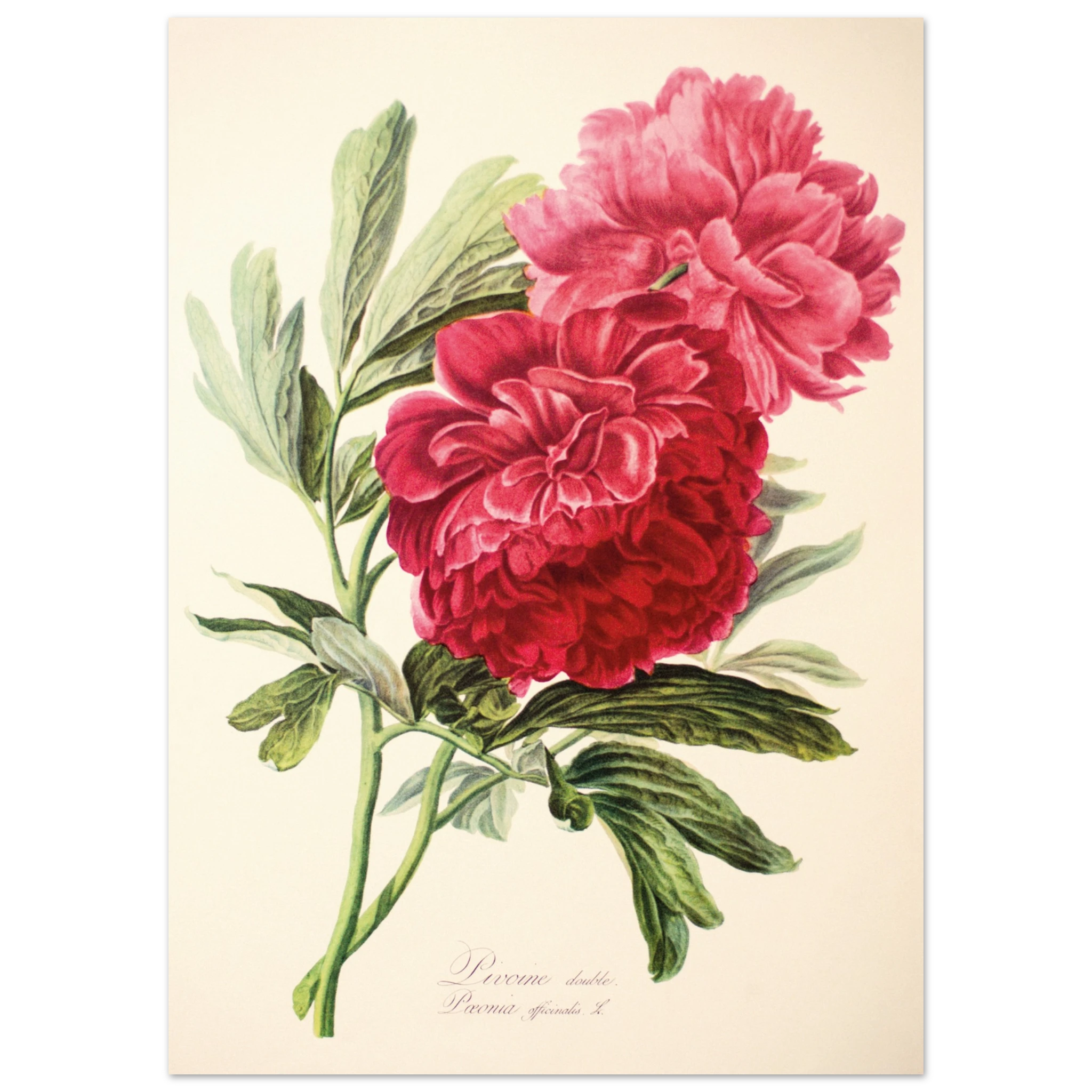 40605334-a321-4f7c-90ee-1ed9dfcba349