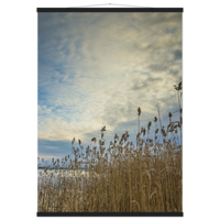 407ff298-dae3-47ff-8a1e-8c305b28aa93