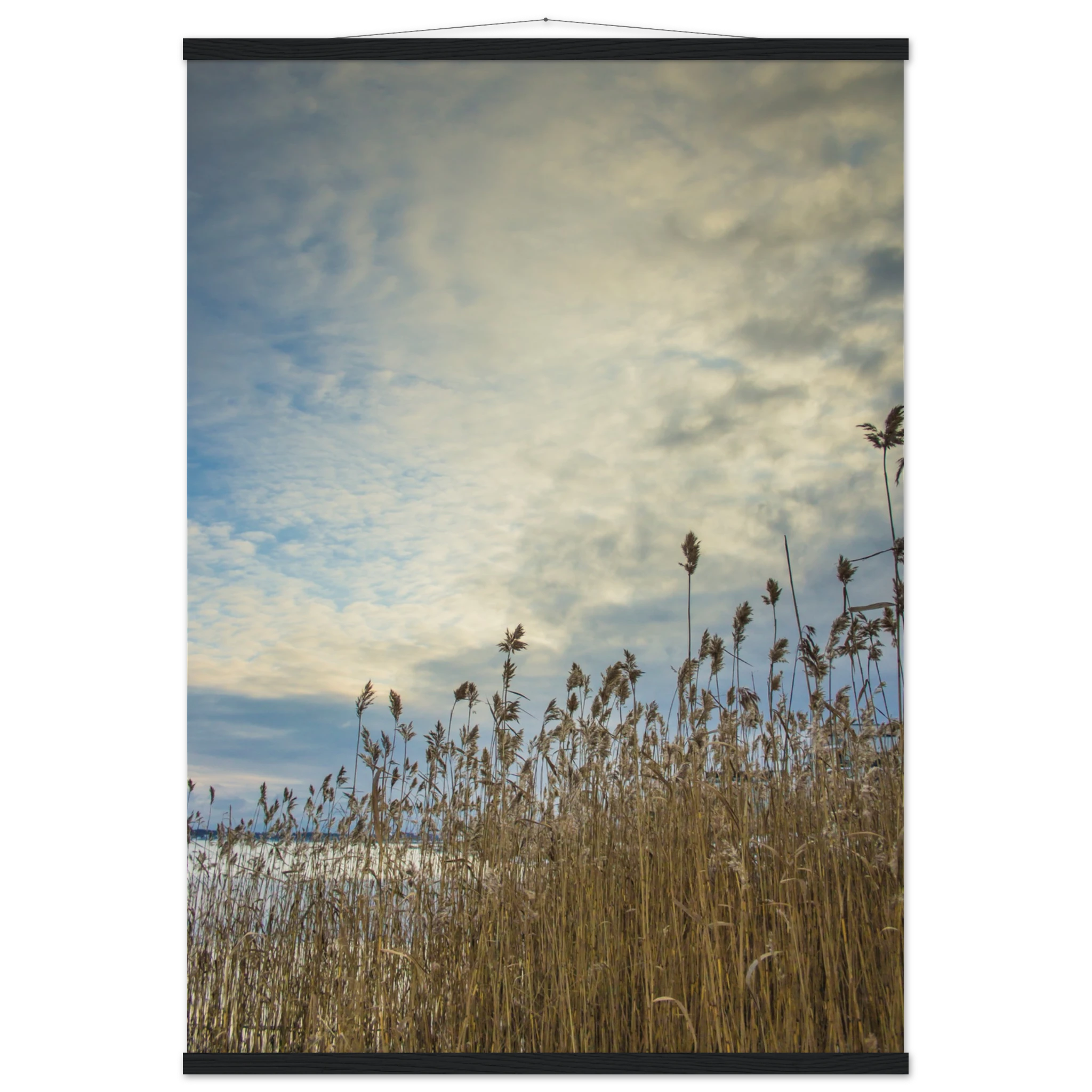 407ff298-dae3-47ff-8a1e-8c305b28aa93