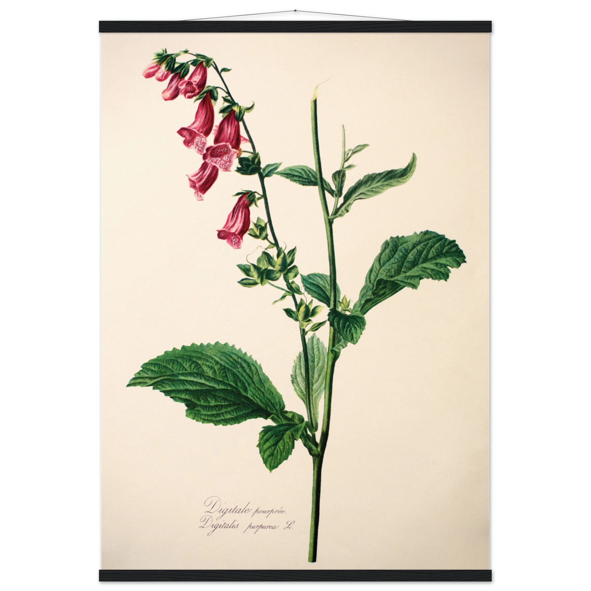 41562a21-a8f6-4613-aaaf-75107406e1e8