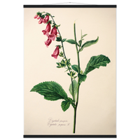 41562a21-a8f6-4613-aaaf-75107406e1e8