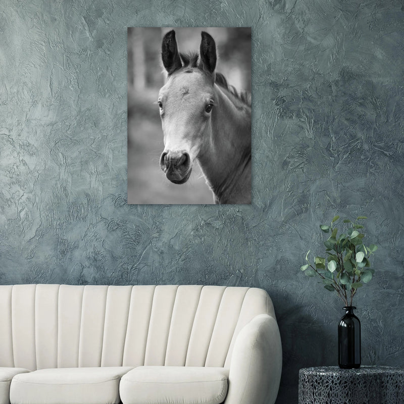 41ebbb87-73a5-4ca5-b2a3-f6f210368d46