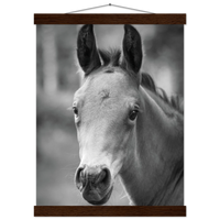 42be6cdd-620d-495e-8189-ad7d0aff7473