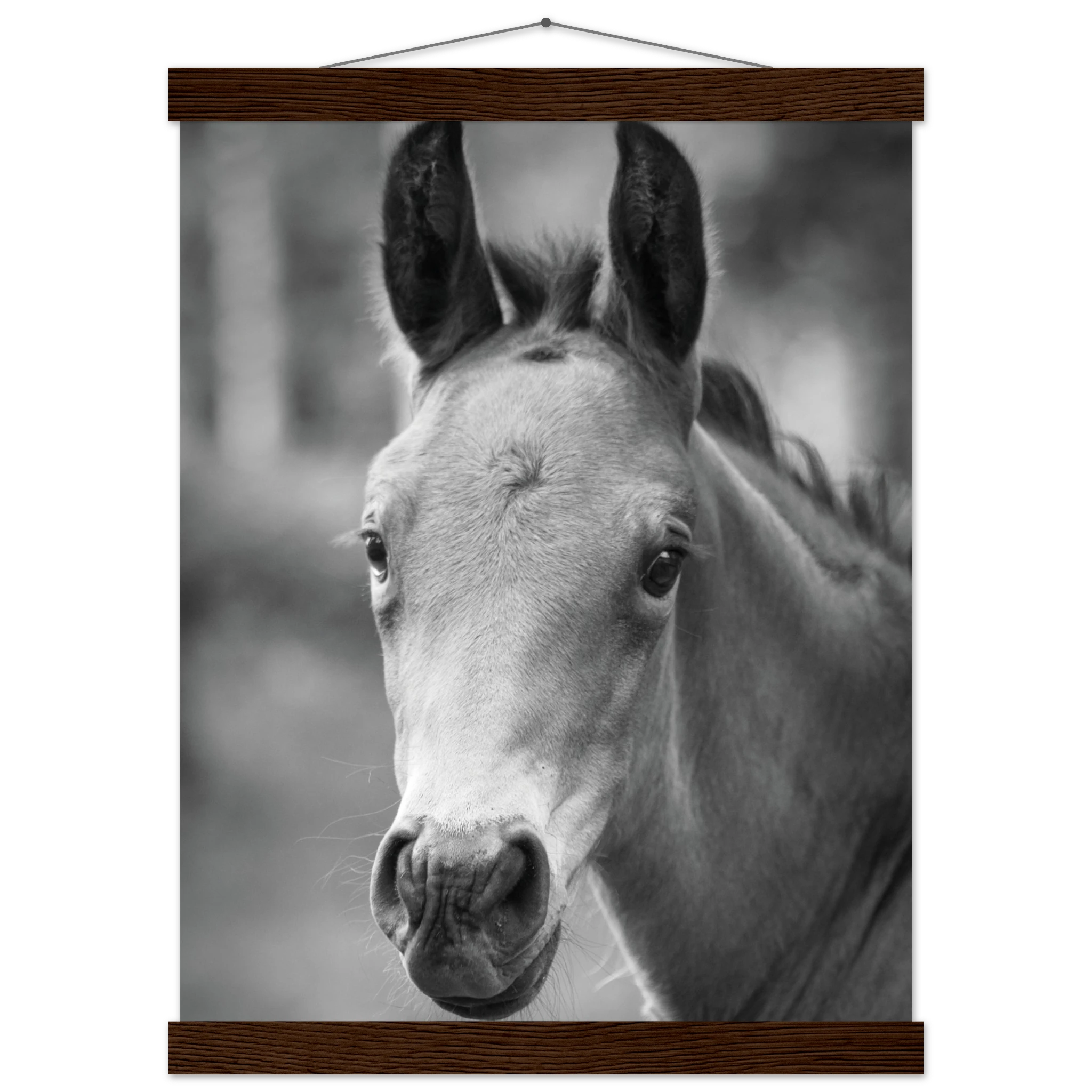 42be6cdd-620d-495e-8189-ad7d0aff7473