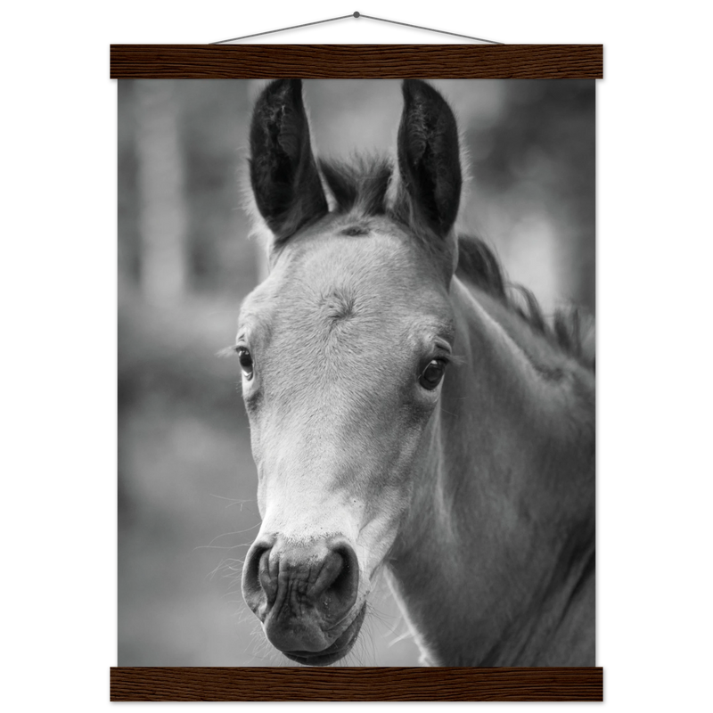 42be6cdd-620d-495e-8189-ad7d0aff7473