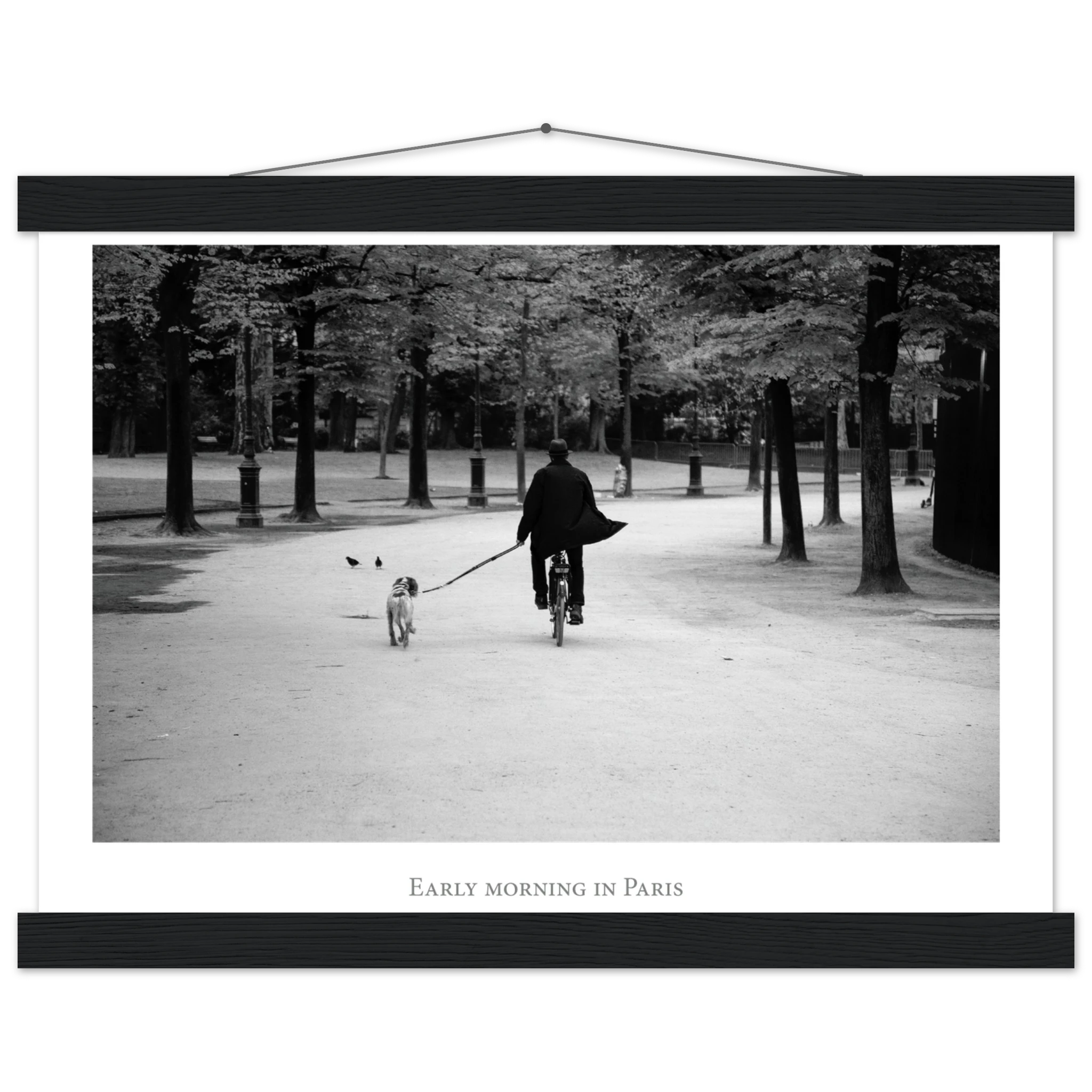 43364e02-a21c-4ed1-89db-e2d114101621