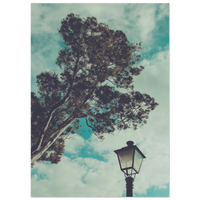 43861d3d-1c06-4dee-8f4a-4fbaa09ed54b