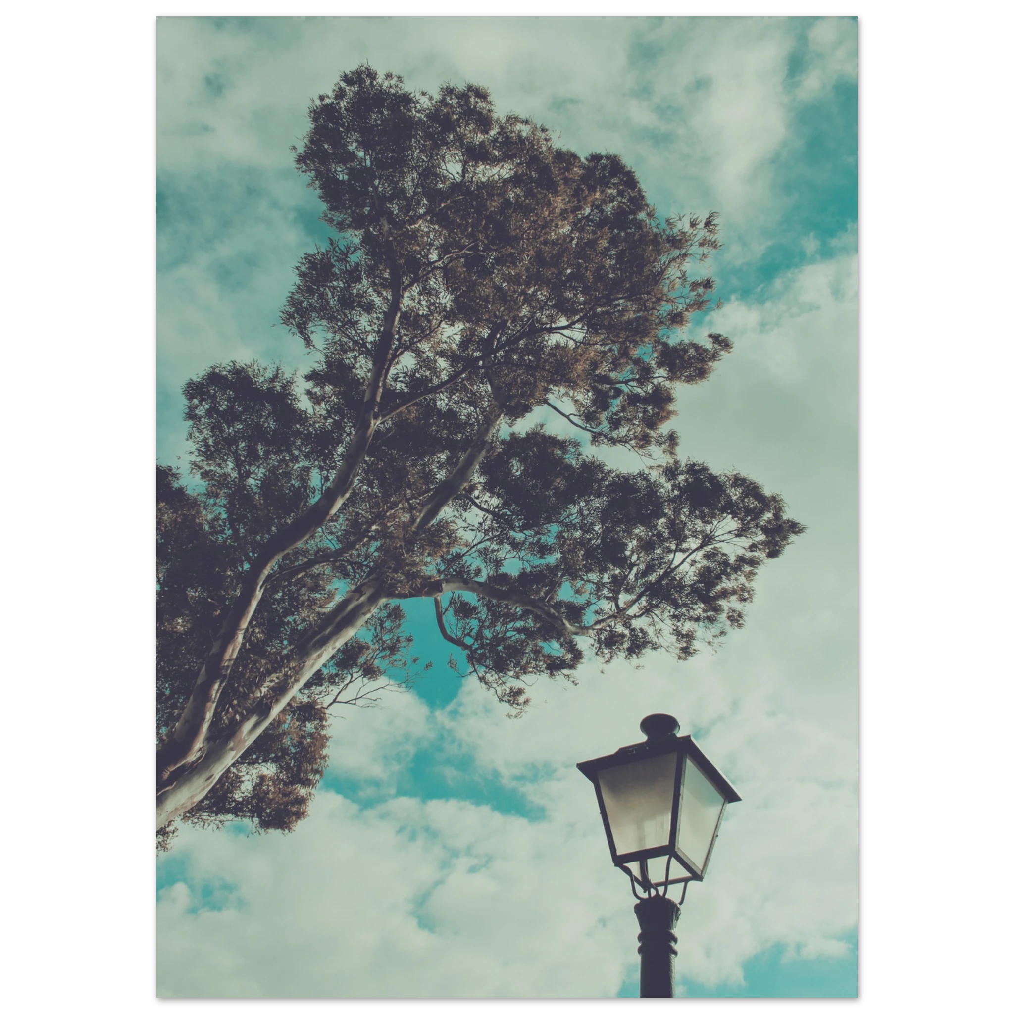 43861d3d-1c06-4dee-8f4a-4fbaa09ed54b