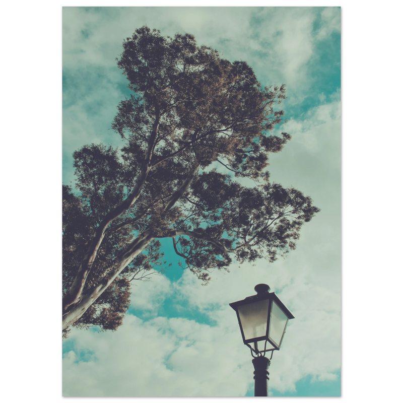 43861d3d-1c06-4dee-8f4a-4fbaa09ed54b