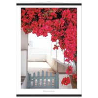 43c6d500-0038-48a6-abcb-fb8f859a15c0