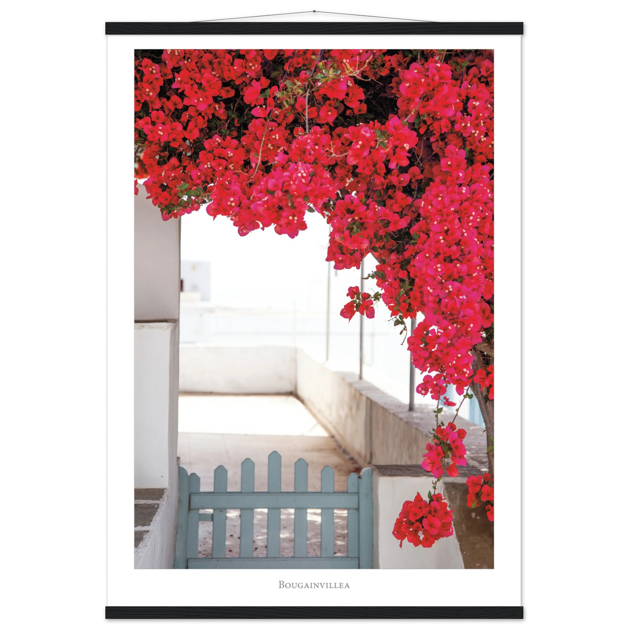 43c6d500-0038-48a6-abcb-fb8f859a15c0