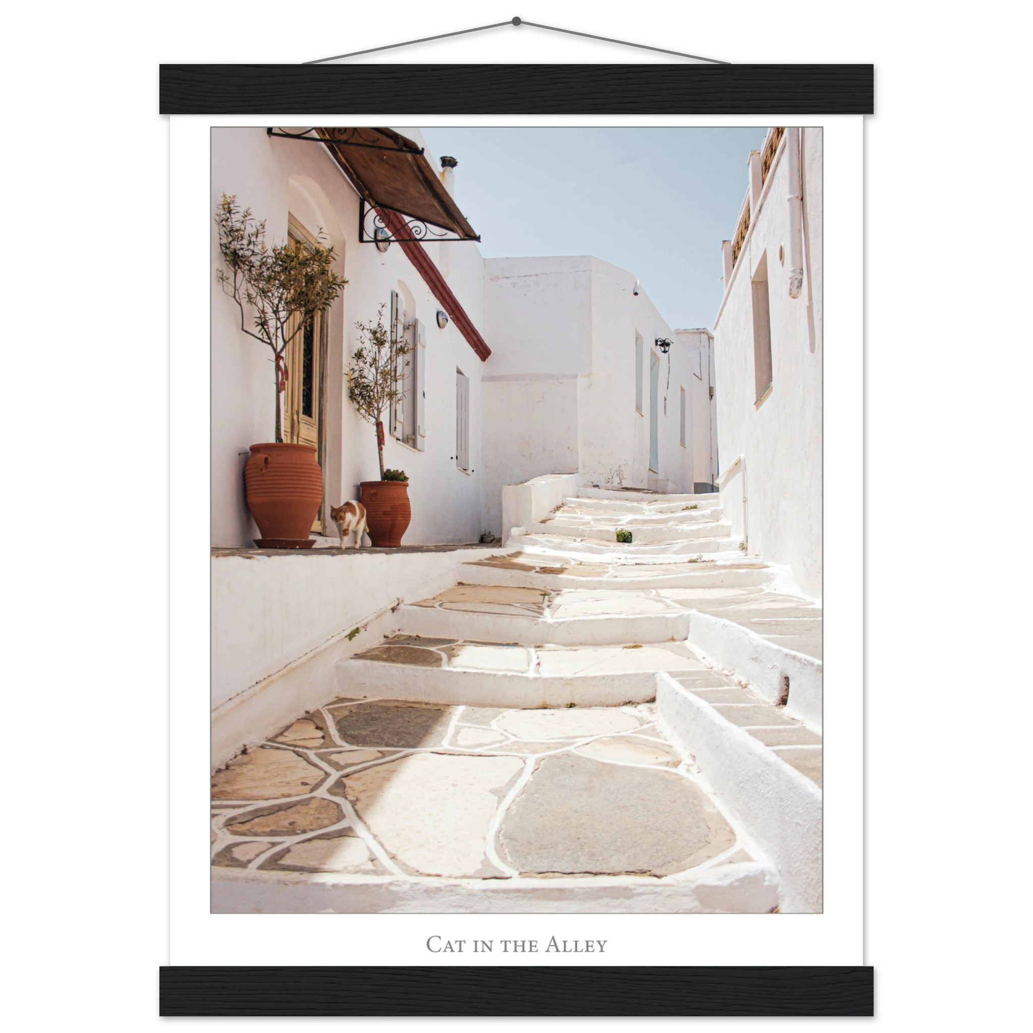 43fbd6f0-f5d3-4c1b-b404-ae1098849309