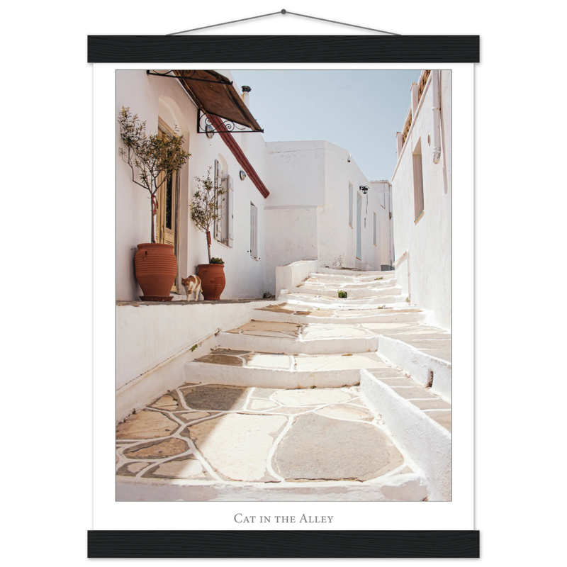 43fbd6f0-f5d3-4c1b-b404-ae1098849309