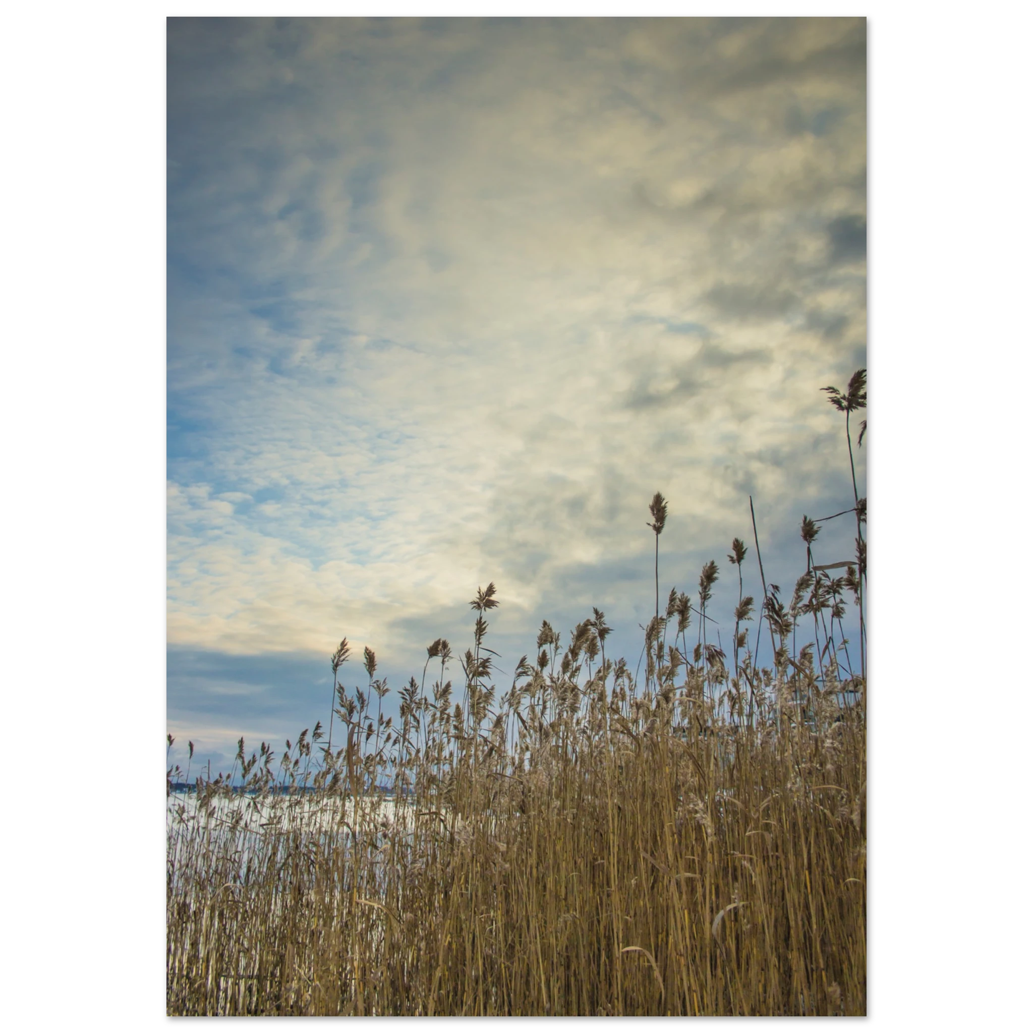 44451265-a5d5-4d9b-952f-7c90022cd5e6