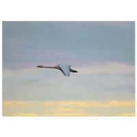 4532aabc-7ab5-497e-b57d-7940fa33ba0d