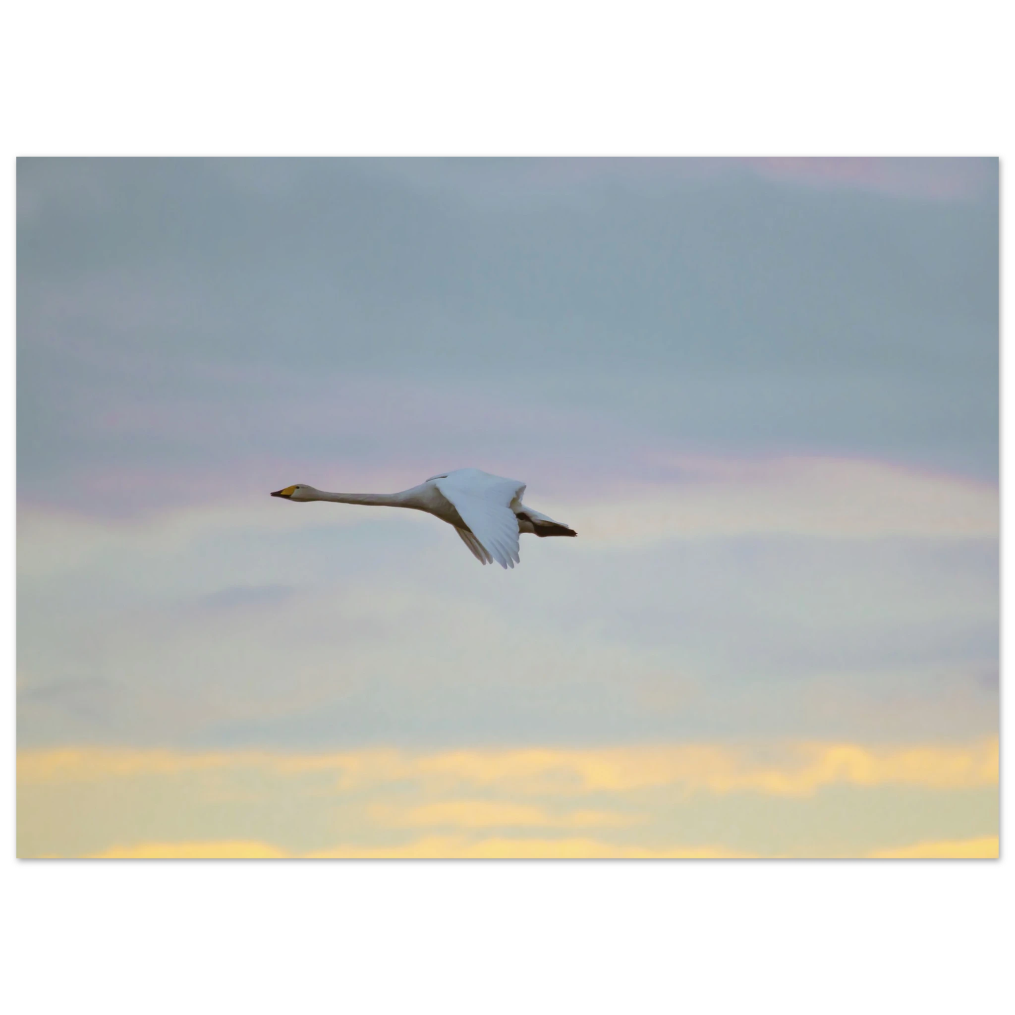 4532aabc-7ab5-497e-b57d-7940fa33ba0d