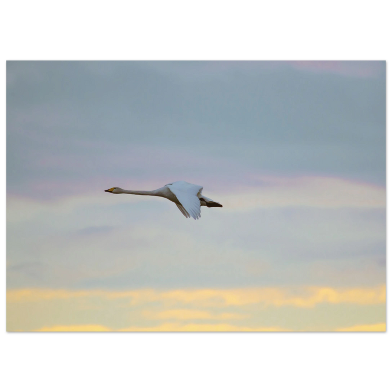 4532aabc-7ab5-497e-b57d-7940fa33ba0d