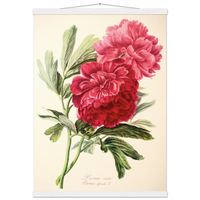 463f6784-3b95-43d1-9e2e-68855129787a